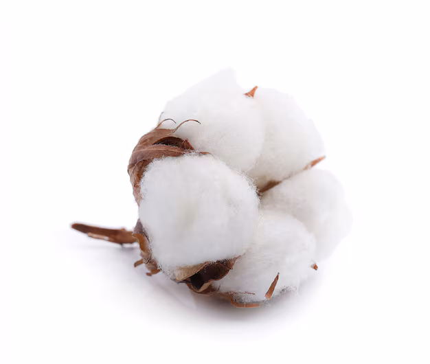 Papier et coton