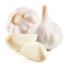 Ail blanc - Kg