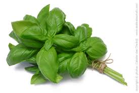Basilic - Botte