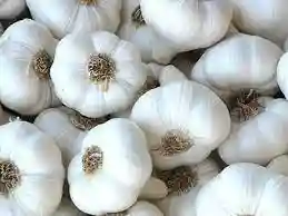  Garlic Head per Unit