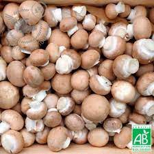 Champignon de Paris Brun - Kg