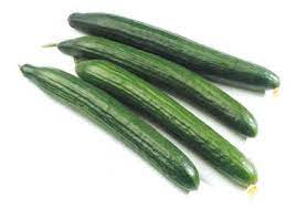 Concombre - Bio - Kg