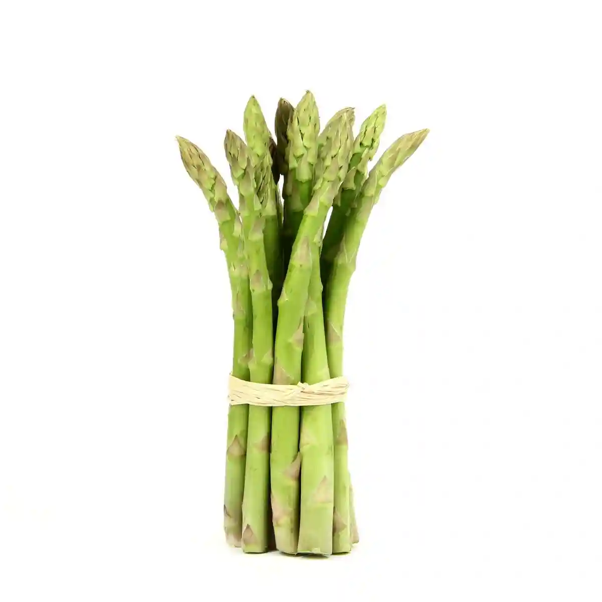 Asperge verte - Botte