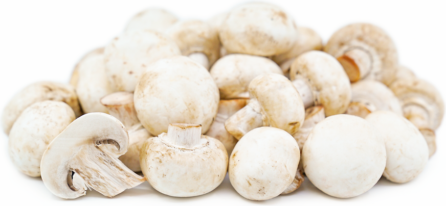 Champignons de Paris - 250g