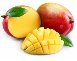 Mangue - Unité